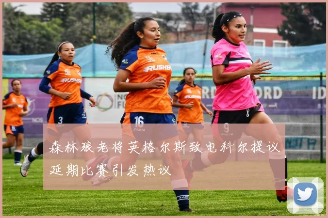 森林狼老将英格尔斯致电科尔提议延期比赛引发热议