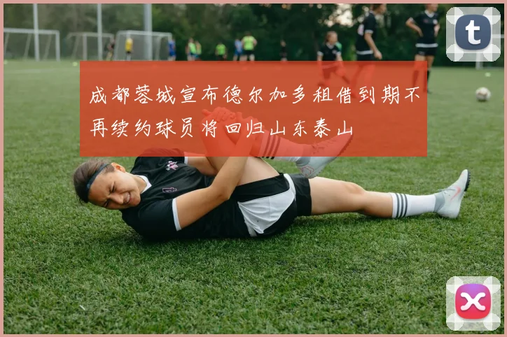 成都蓉城宣布德尔加多租借到期不再续约球员将回归山东泰山